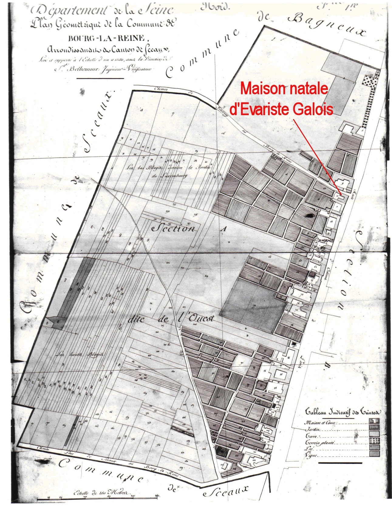 maison
