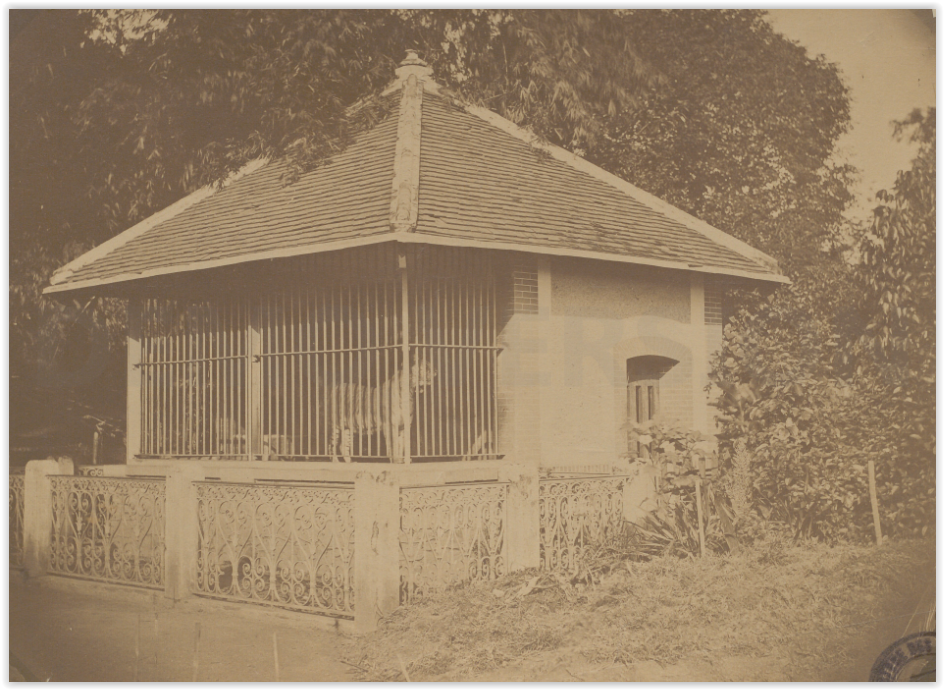 1880-1890 LA CAGE AUX TIGRES